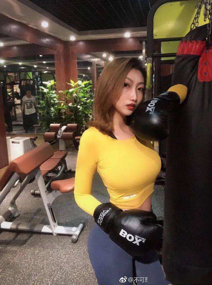 澳门4949资料免费大全手机app下载