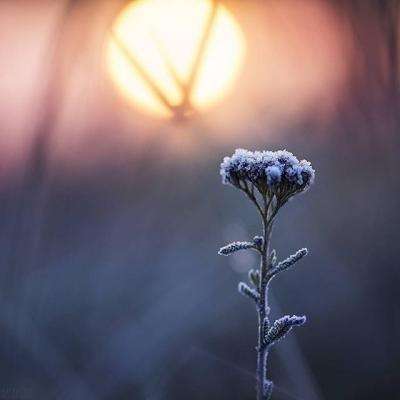 beat365手机app下载