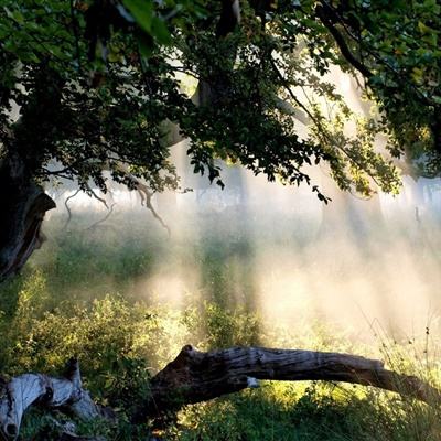 棋牌游戏手机app下载