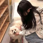 B体育旧版本官网下载苹果